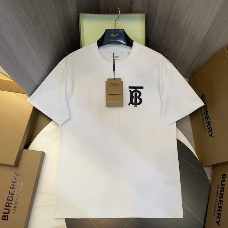 Picture of Burberry T Shirts Short _SKUBurberryS-2XLtltx6119791